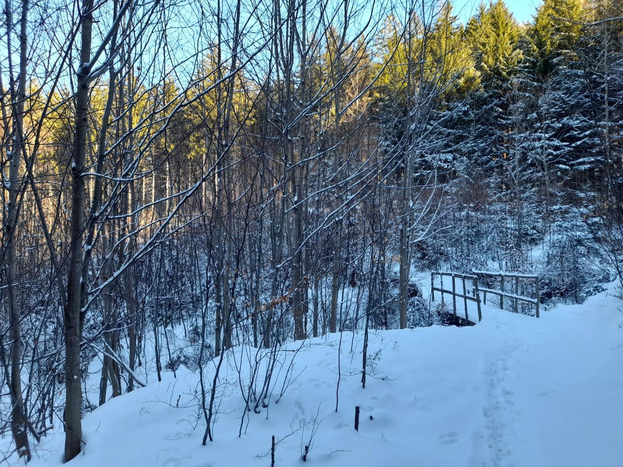 Ubytovani Na Namesti Nove Mesto pod Smrkem Extérieur photo